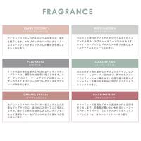 【欠品】BLEND ブレンド AROMA STICK 6 pack アロマスティック6パック ISLAND COCONUT アイランドココナッツ