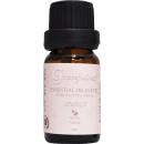 Gratefulness グレートフルネス Essential Oil Blends エッセンシャルオイルブレンド Emily エミリー