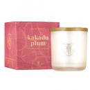 【欠品】MAINE BEACH マインビーチ Kakadu Plum カカドゥプラム Fragrance Candle フレグランスキャンドル